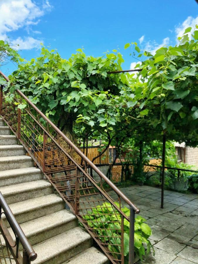 Achela'S Guesthouse ボルジョミ エクステリア 写真