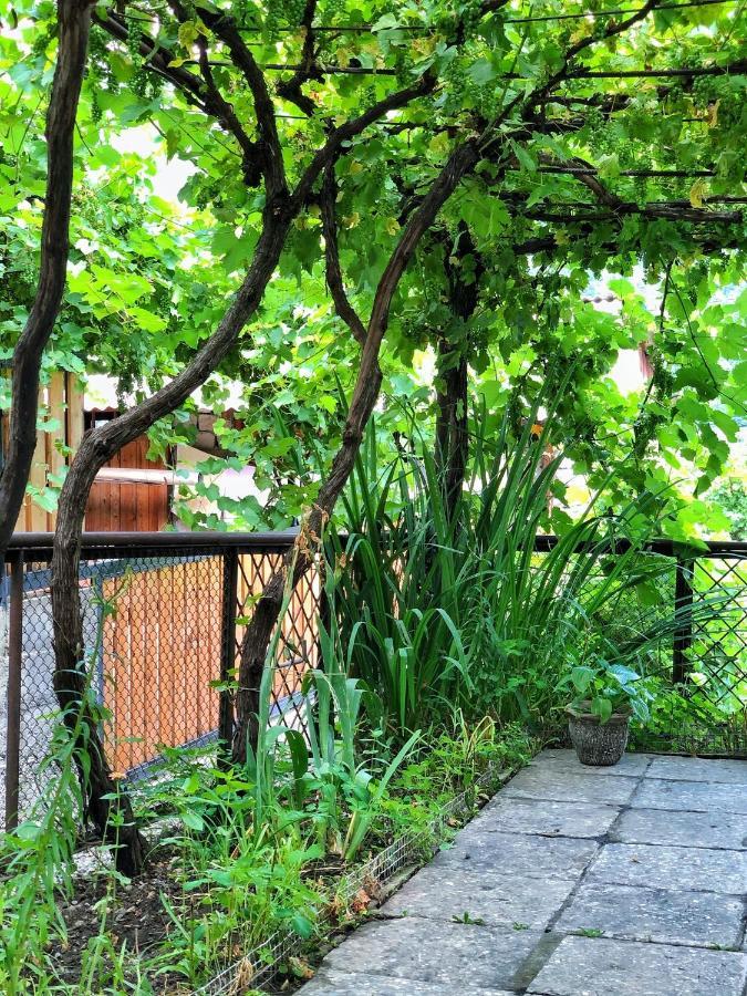 Achela'S Guesthouse ボルジョミ エクステリア 写真