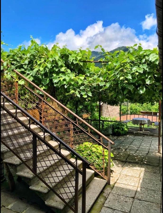 Achela'S Guesthouse ボルジョミ エクステリア 写真