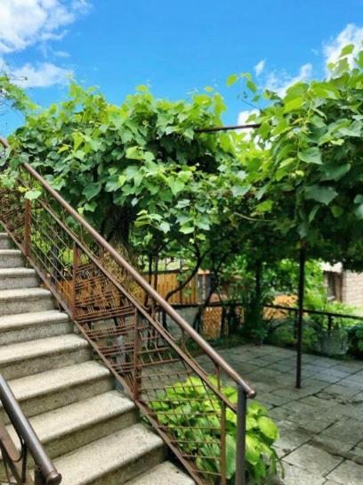 Achela'S Guesthouse ボルジョミ エクステリア 写真